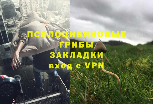 МДМА Заводоуковск