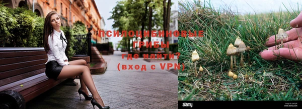 МДМА Заводоуковск