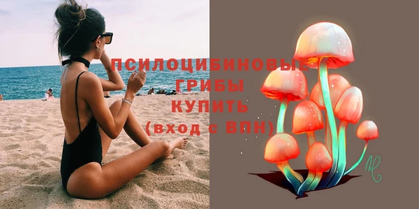 МДМА Заводоуковск