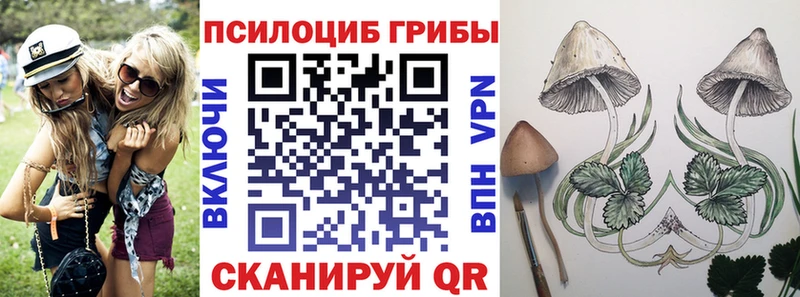 Купить закладки  Ермолино  Псилоцибиновые грибы MAGIC MUSHROOMS 